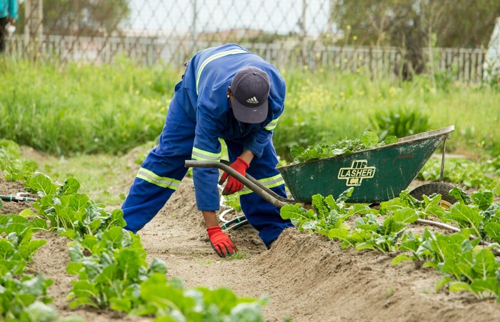 From waste to resource: recovering nutrients to fertilise the future